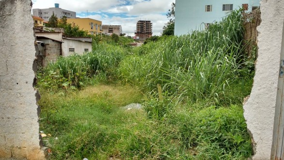 Situação De Abandono Em Rua Vira Motivo De Reclamação Em Lavras Lavras24horas 